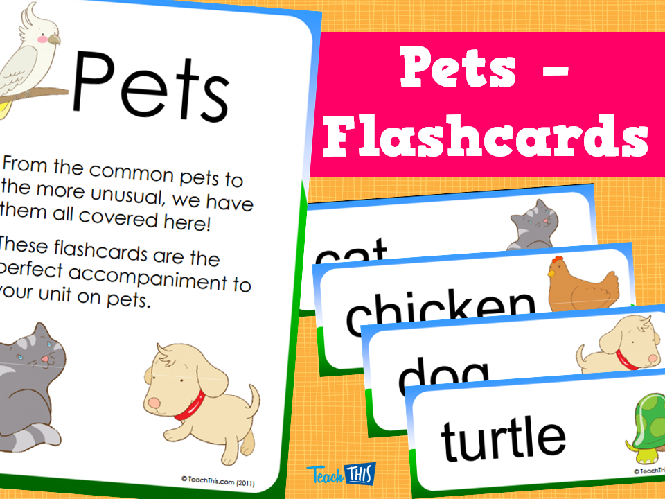 Pets - Flashcards