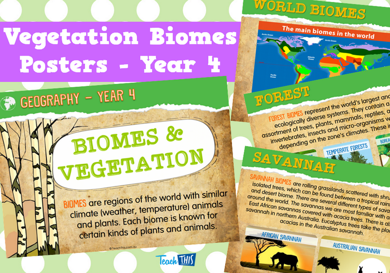 Vegetation Biomes Posters - Year 4