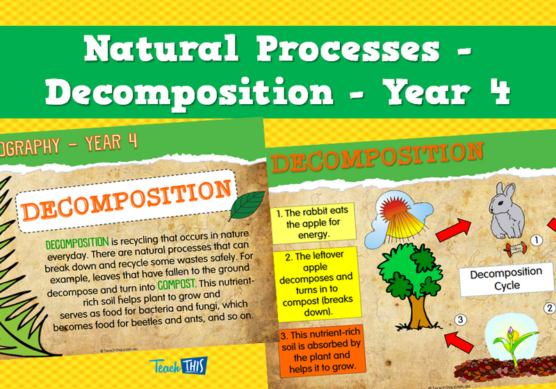Natural Processes - Decomposition - Year 4