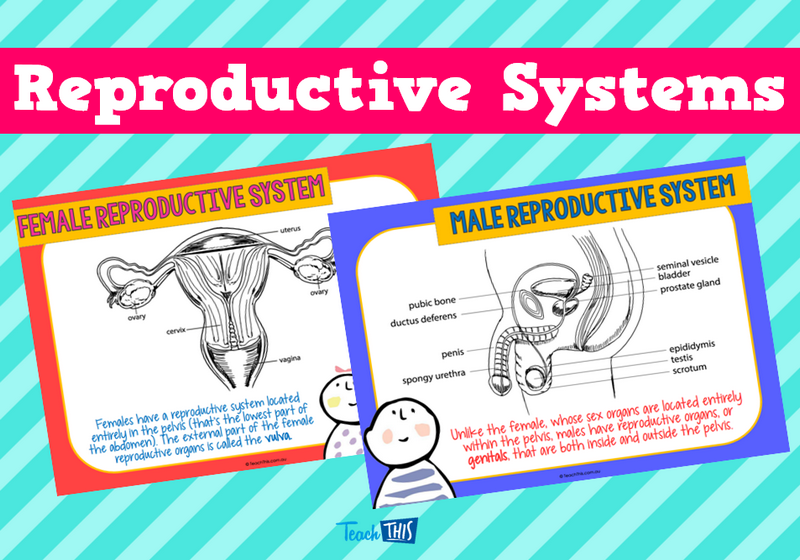 Reproductive Systems