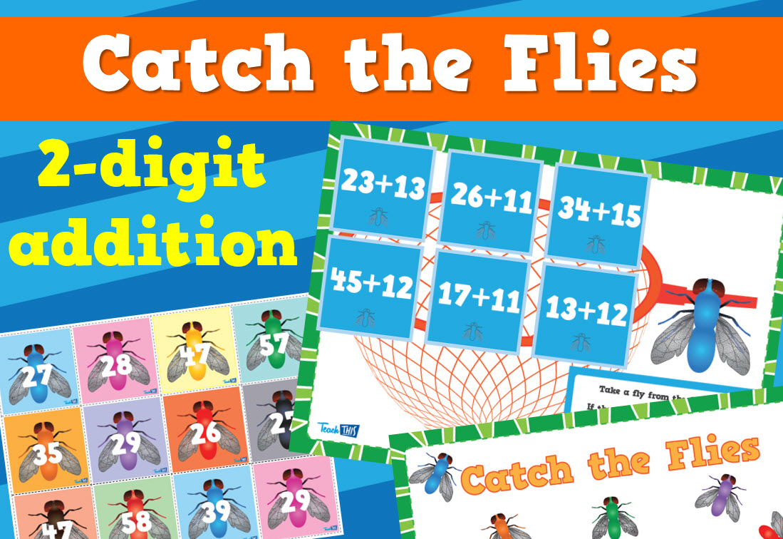 Catch The Flies - 2 Digit Addition