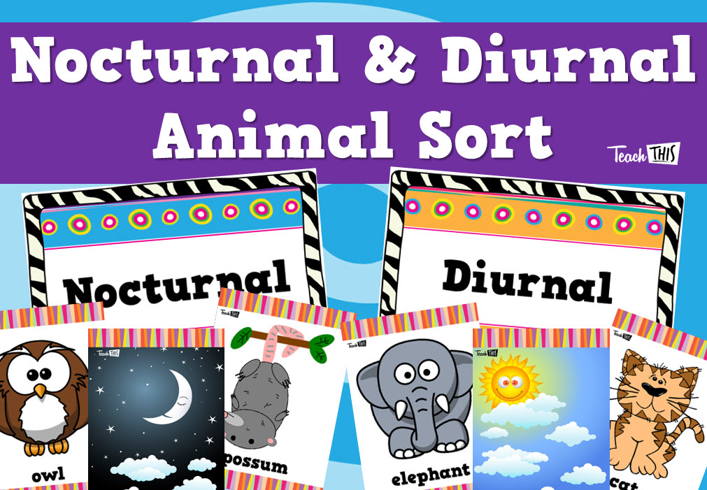 Nocturnal & Diurnal - Animal Sorting