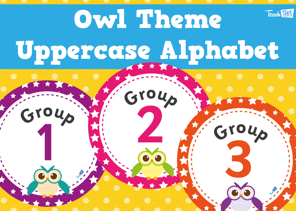 Owl Theme - Group Numbers