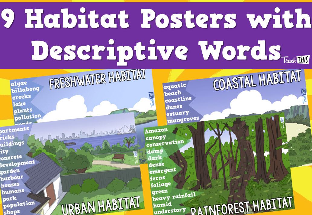 Environment / Habitat Posters - Descriptive