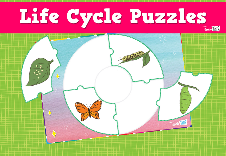 Life Cycle Puzzles