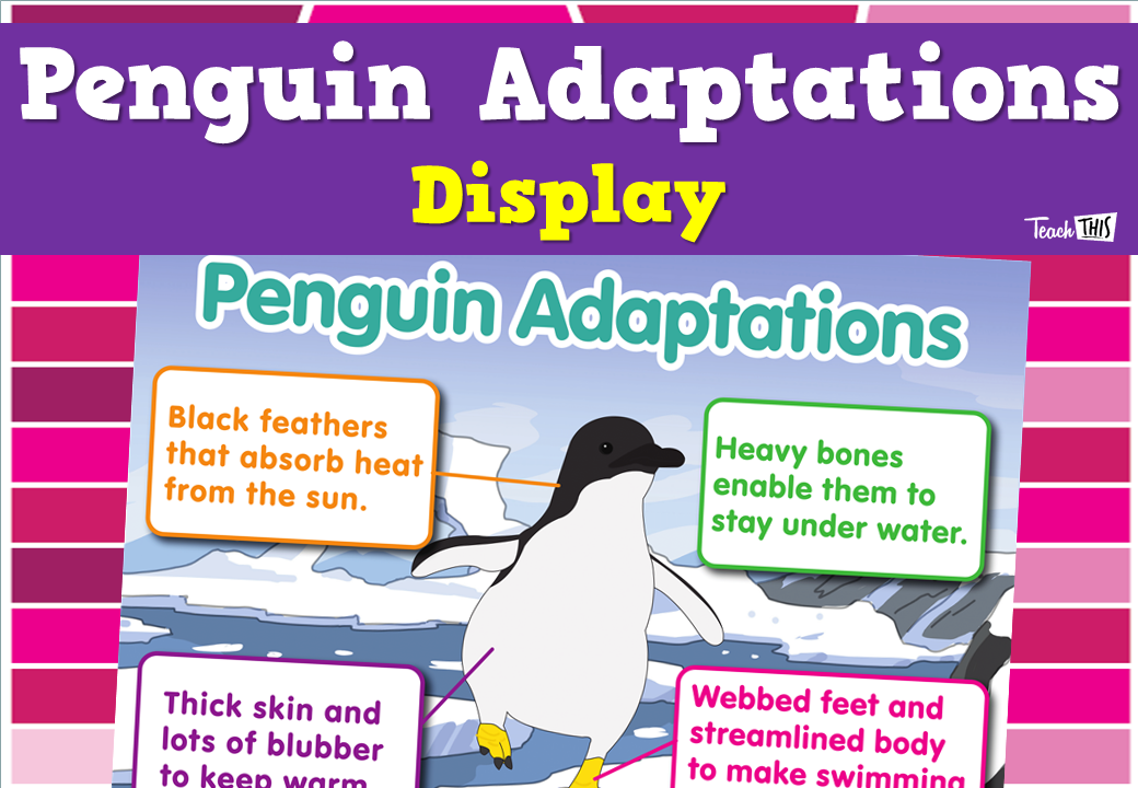 Penguin Adaptations Display