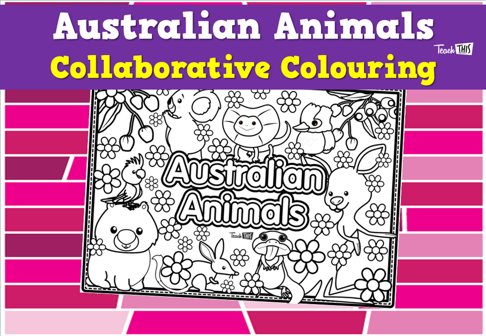 Australian Animals Collaborative Colouring