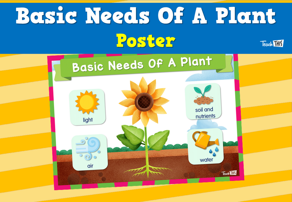 Basic Needs Of A Plant Poster