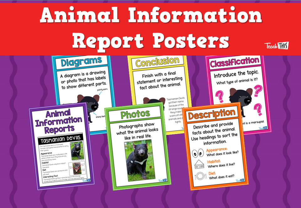 Animal Information Report Posters