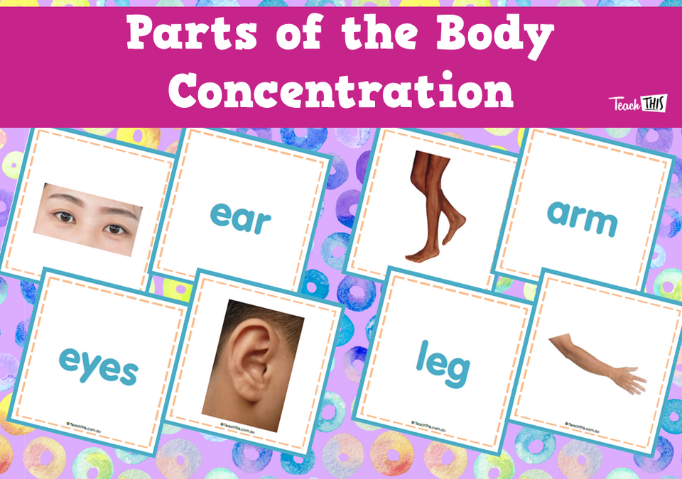 Parts of the Body Concentration
