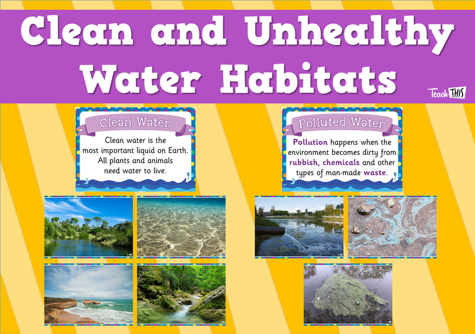 Clean and Unhealthy Water Habitats