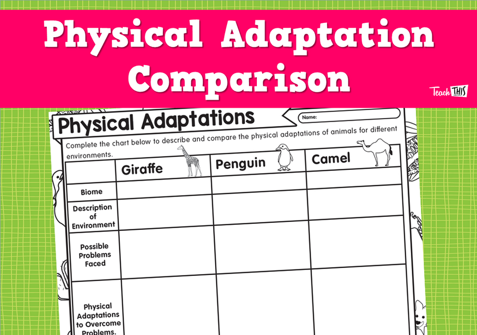Physical Adaptation Comparison