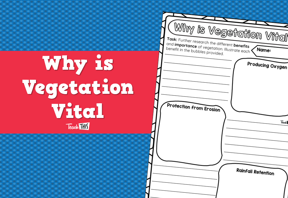 Why is Vegetation Vital?