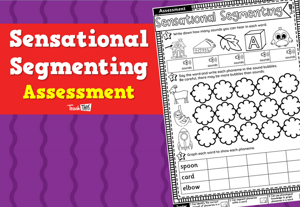 Sensational Segmenting Assessment