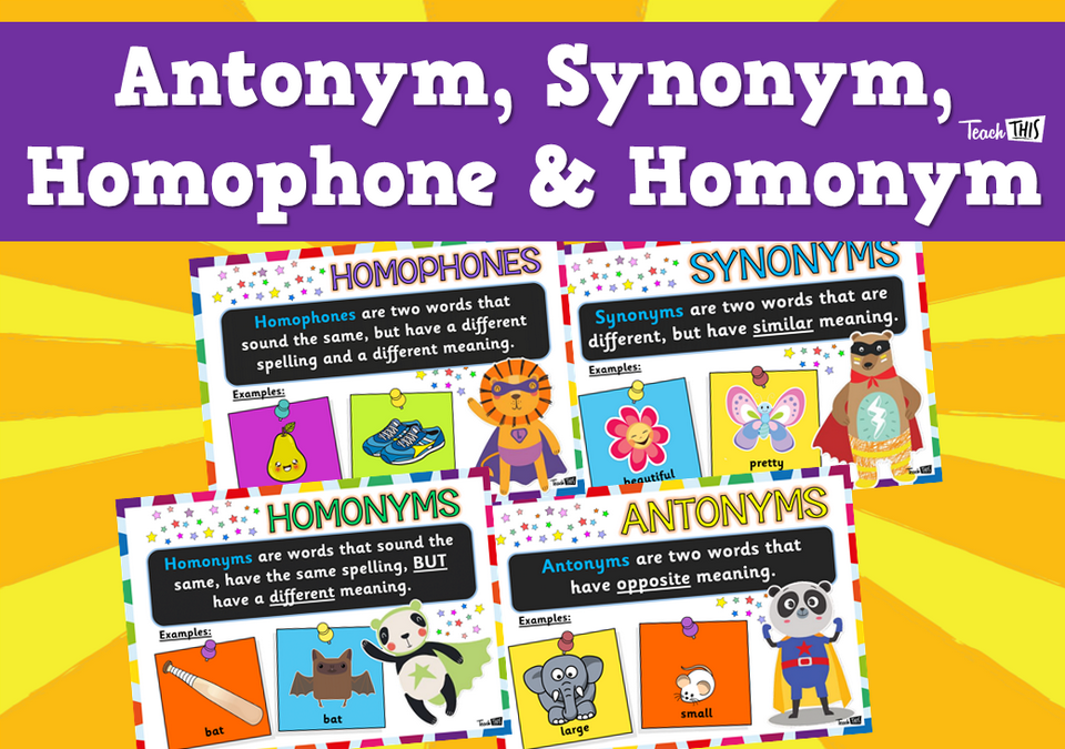 Antonym, Synonym, Homophone & Homonym