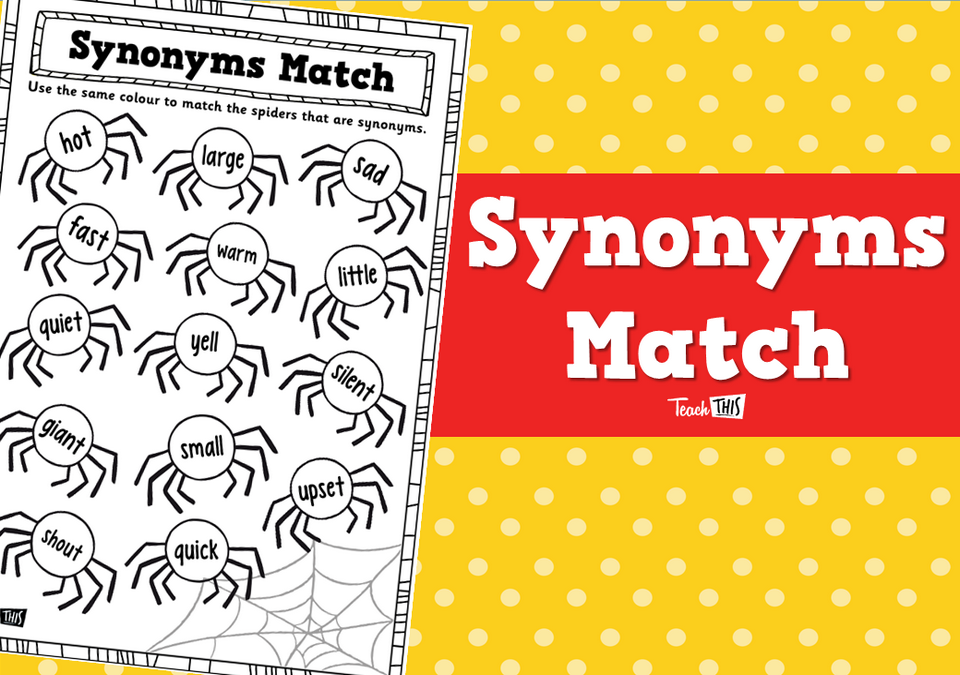 Synonyms Match