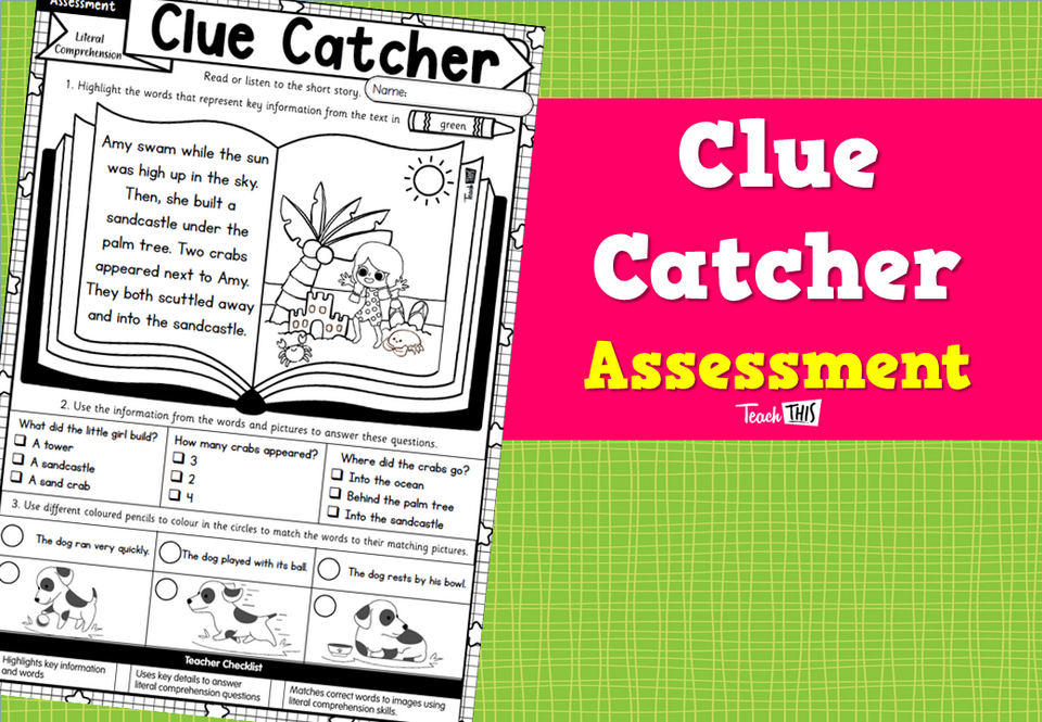 Clue Catcher Assessment