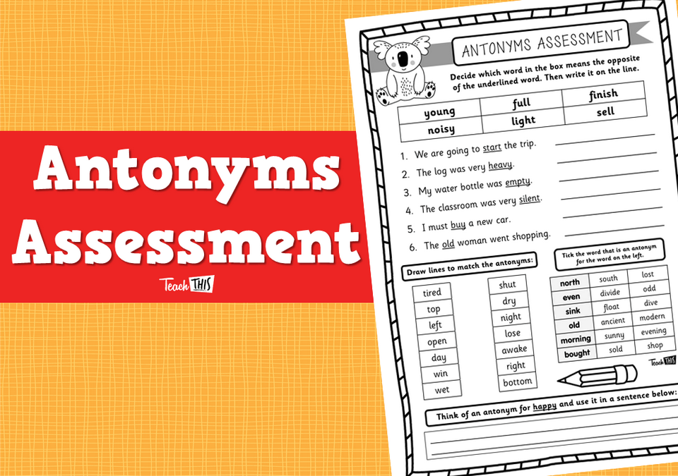 Antonyms Assessment