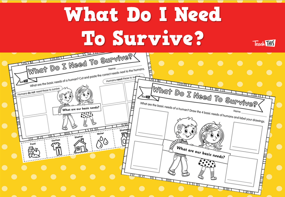 What Do I Need To Survive?