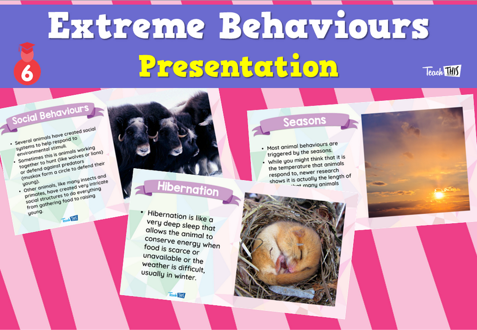 Extreme Behaviours - Presentation