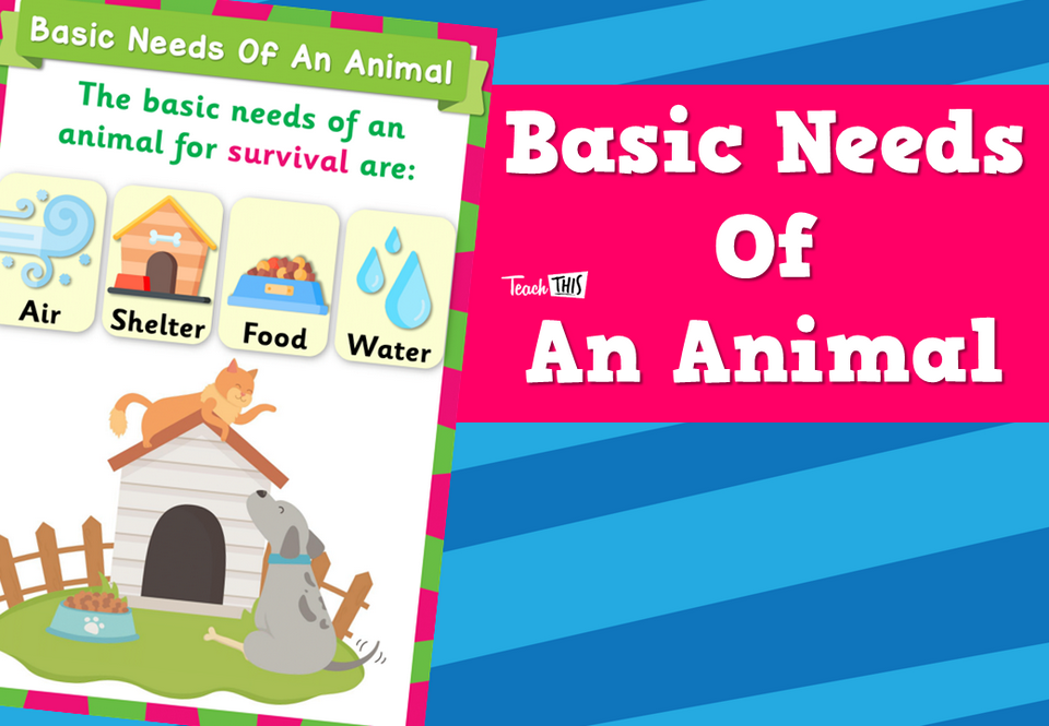 Basic Needs Of An Animal