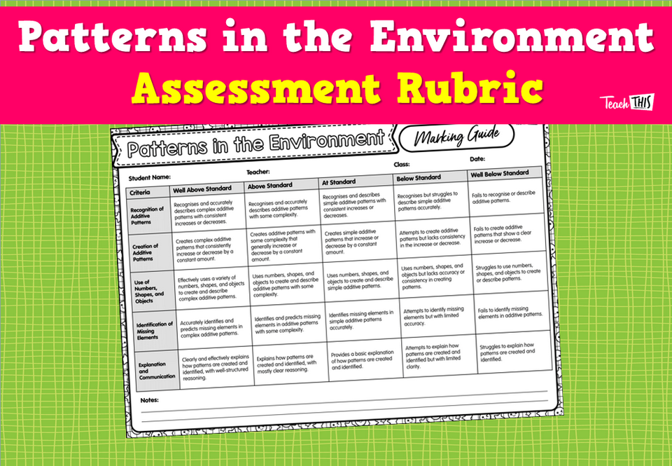 Patterns in the Environment Assessment Rubric