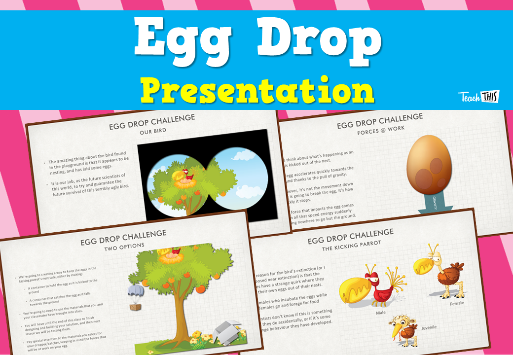 Egg Drop - Presentation