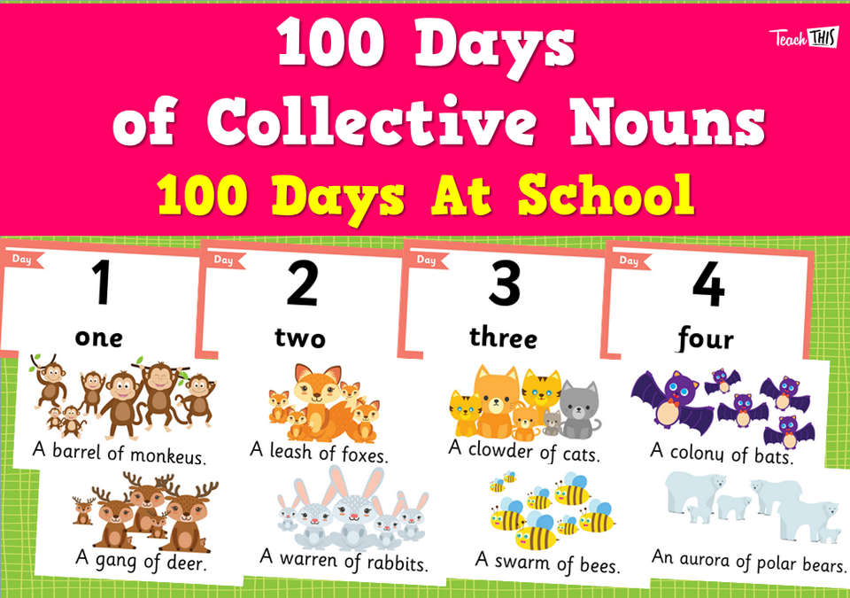 100 Days of Collective Nouns - 100 Days At School