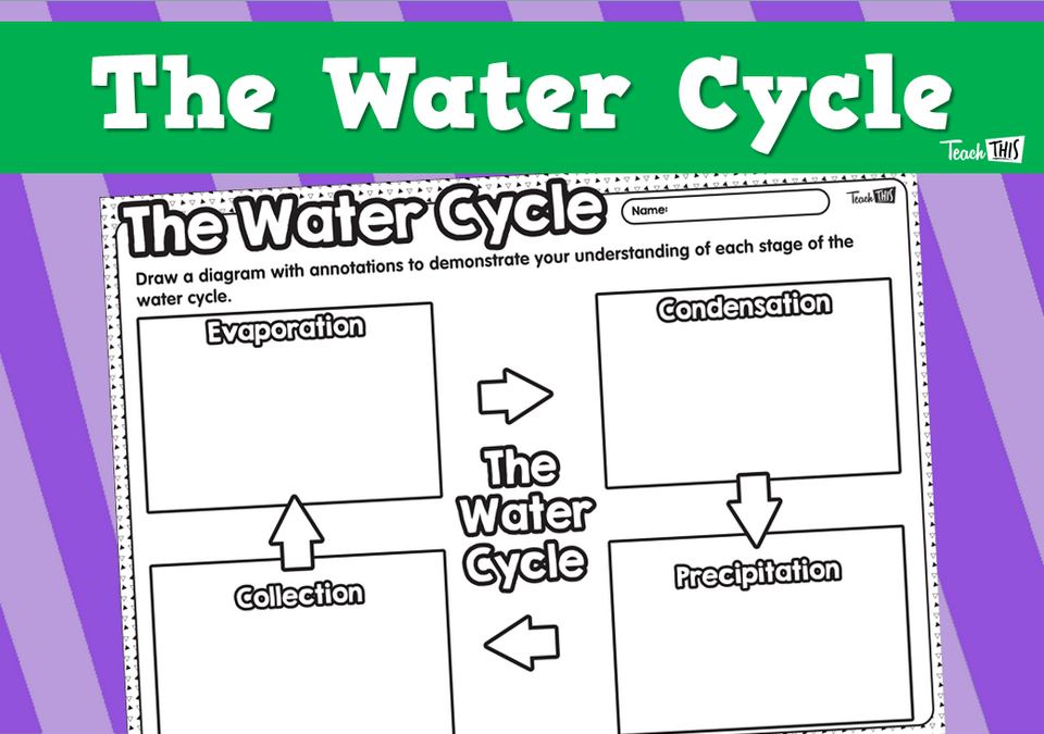 The Water Cycle