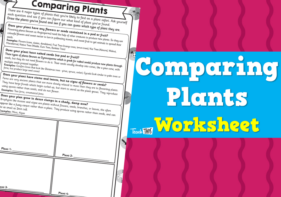 Comparing Plants Worksheet