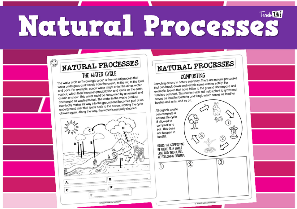Natural Processes (2pg)