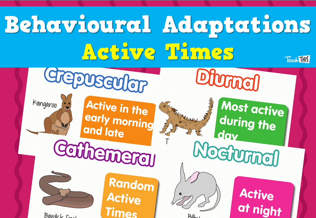 Behavioural Adaptations - Active Times