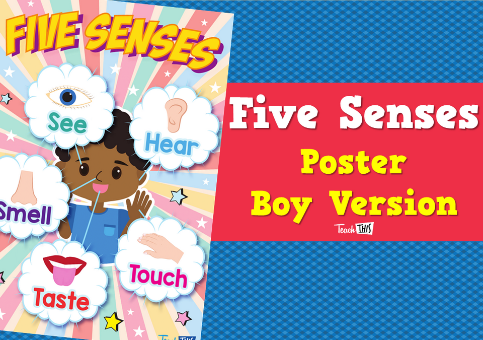 Five Senses Poster - Boy Version