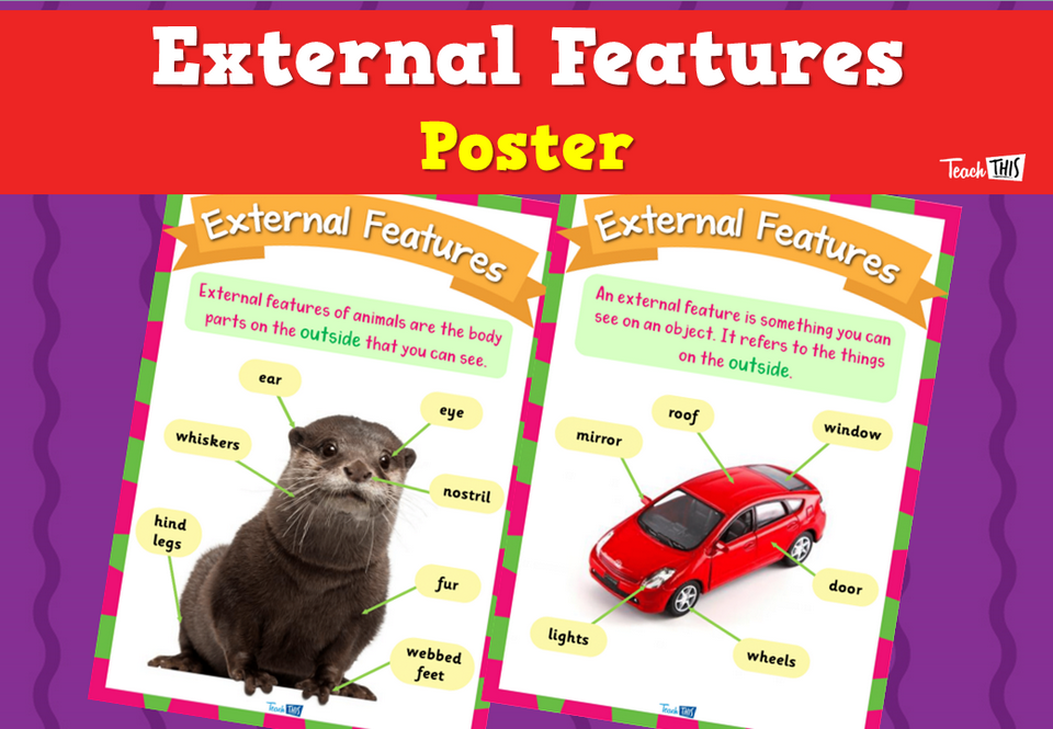 External Features Poster