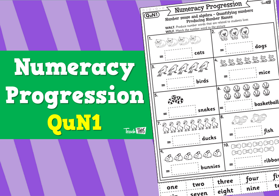 Numeracy Progression - QuN1