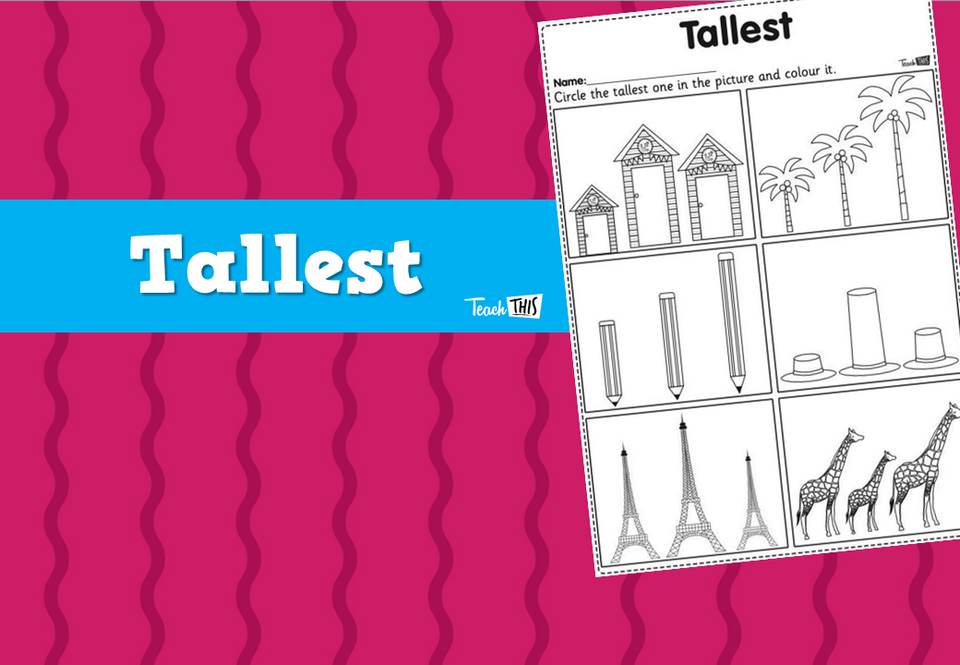 Tallest Worksheet
