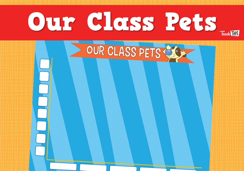 Our Class Pets
