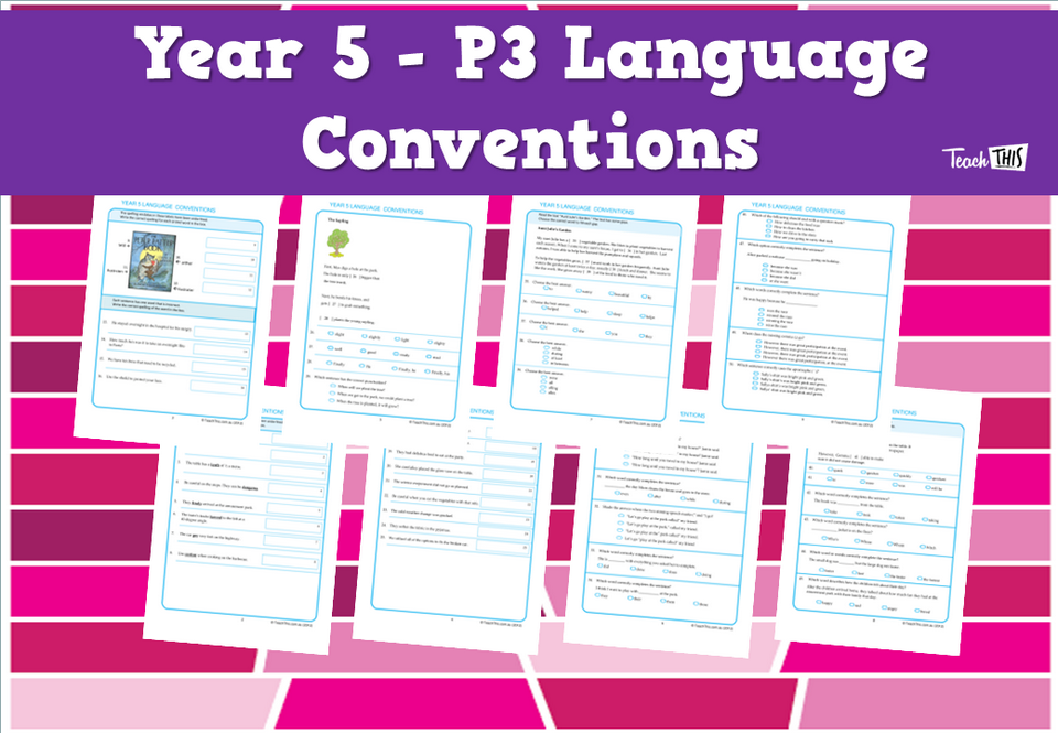 Year 5 - P3 Language Conventions