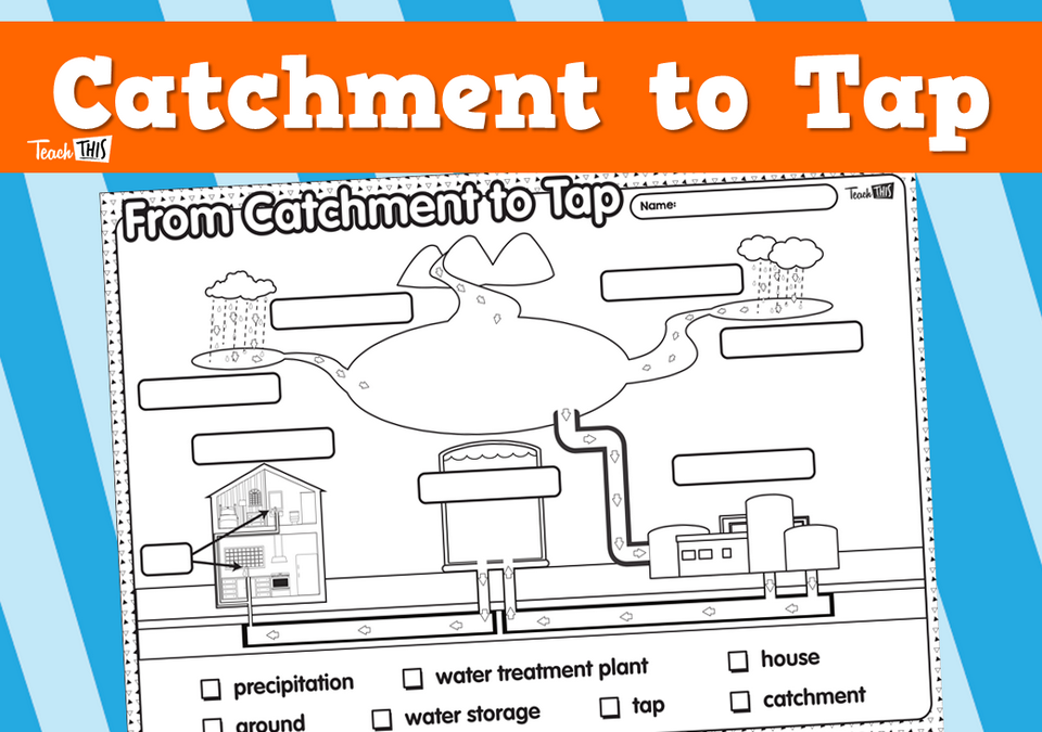 Catchment to Tap