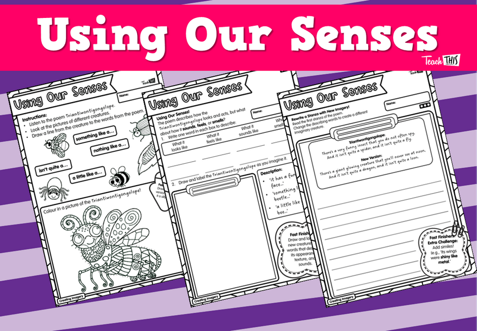 Using Our Senses