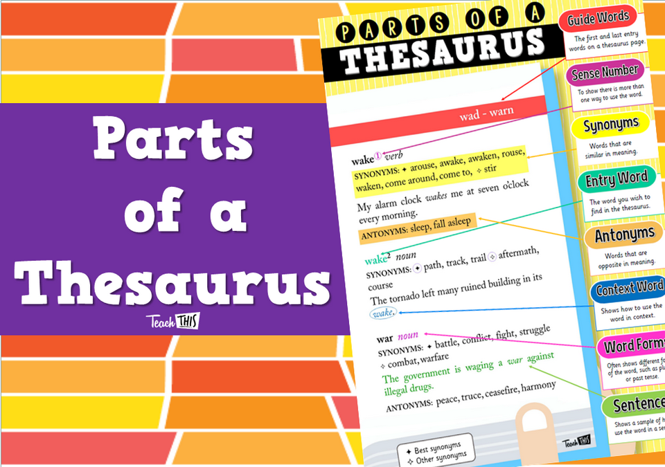 Parts of a Thesaurus