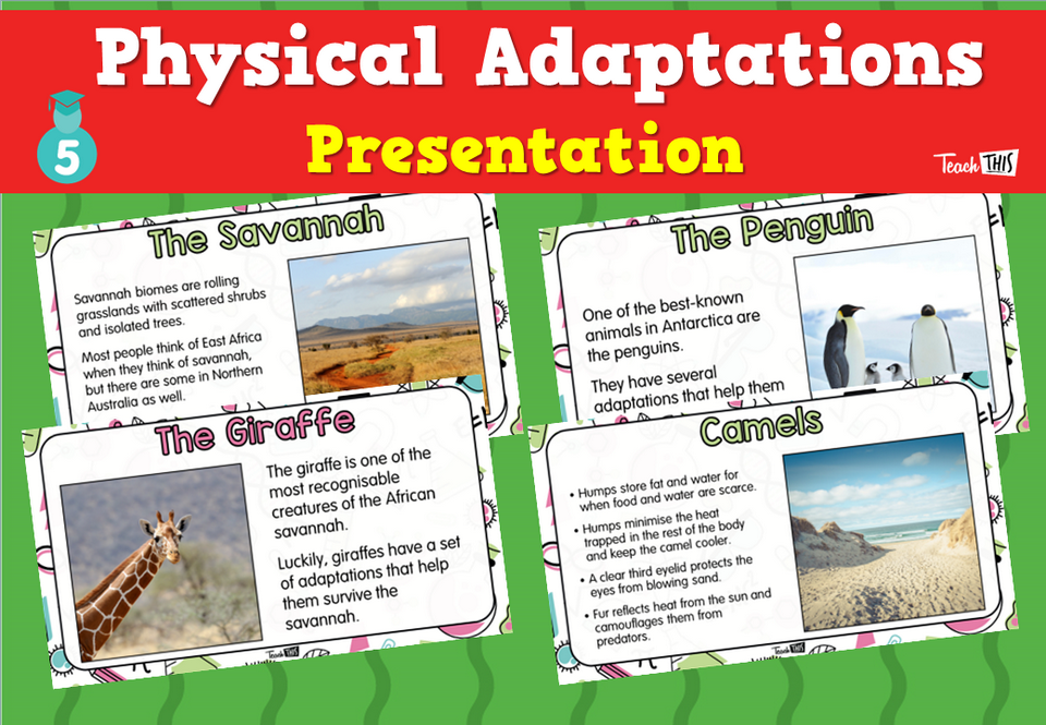 Physical Adaptations - Presentation
