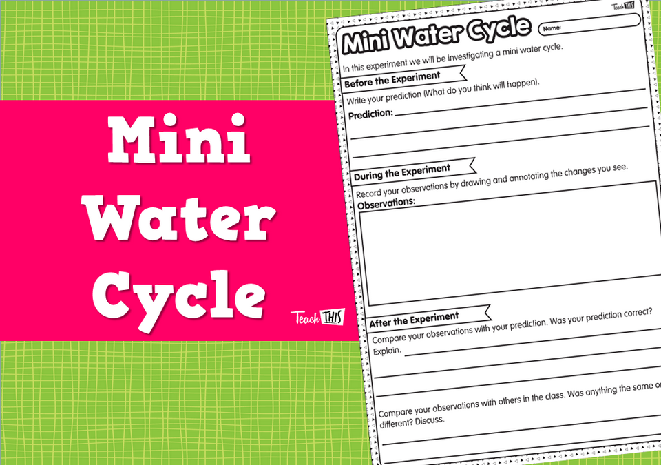 Mini Water Cycle