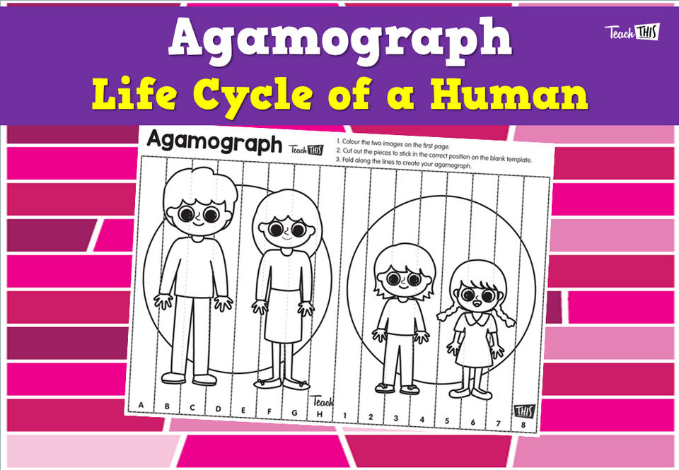 Agamograph- Life Cycle of a Human