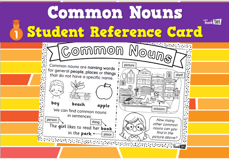 Common Nouns - Student Reference Card