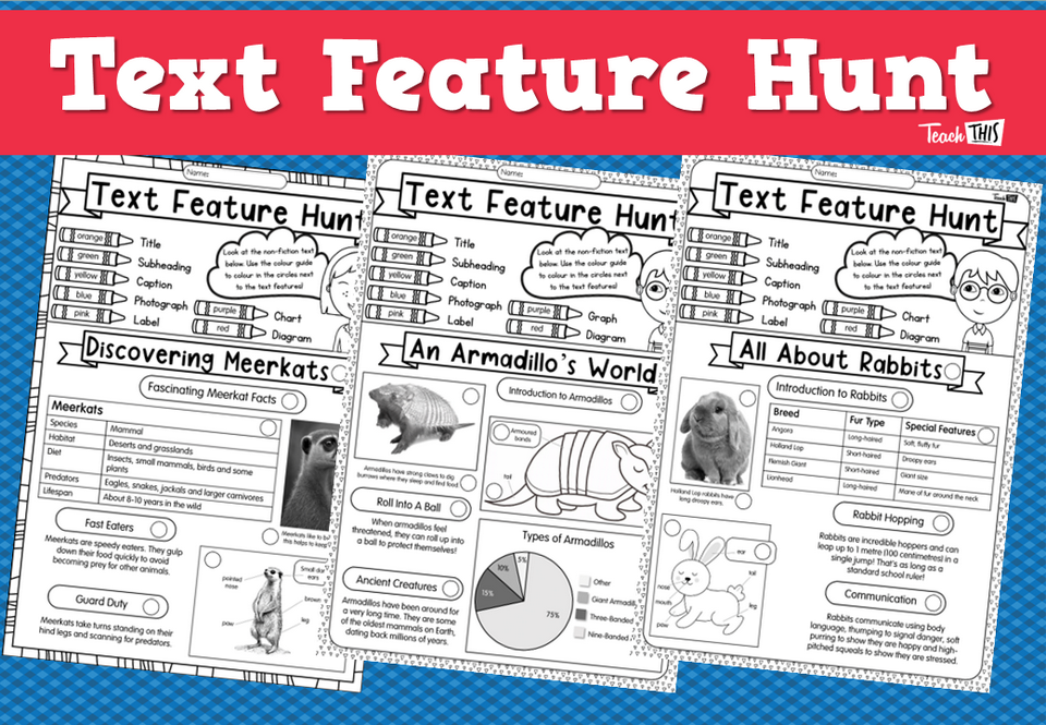 Text Feature Hunt