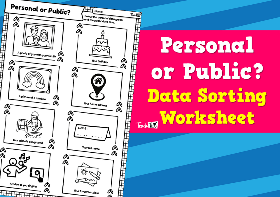 Personal or Public? - Data Sorting Worksheet