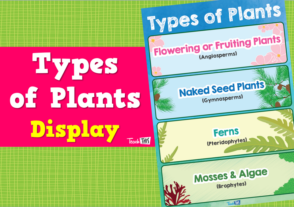 Plant Groups