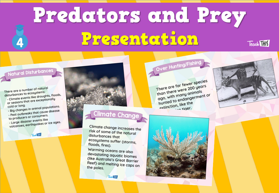 Risks to Ecosystems - Presentation