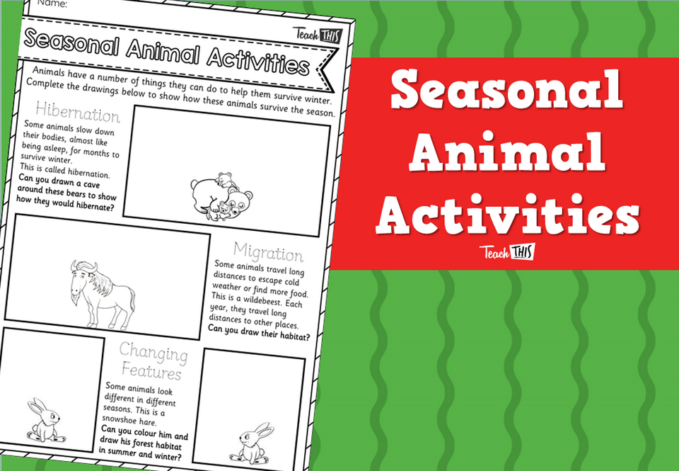 Seasonal Animal Activities
